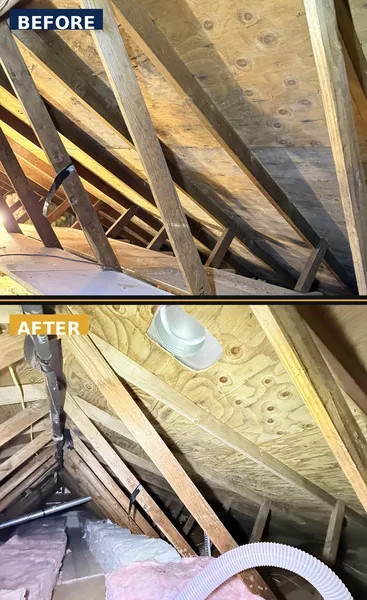 Mold Remediation